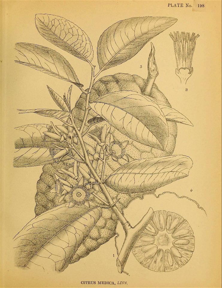 n498_w1150