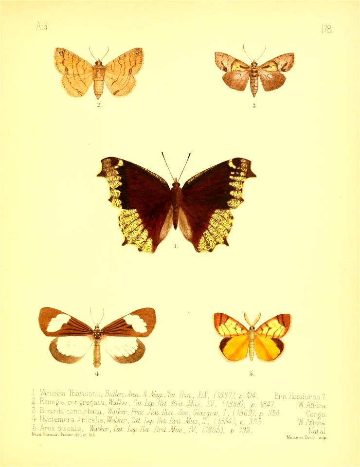 n190_w1150
