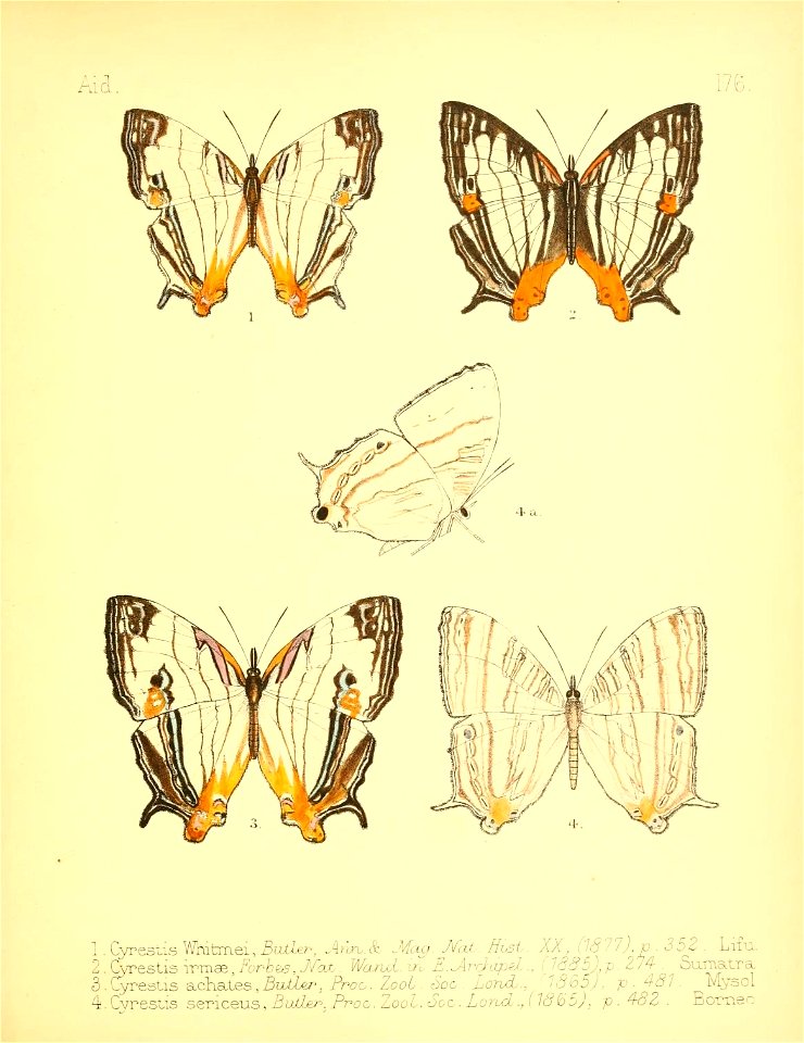 n186_w1150
