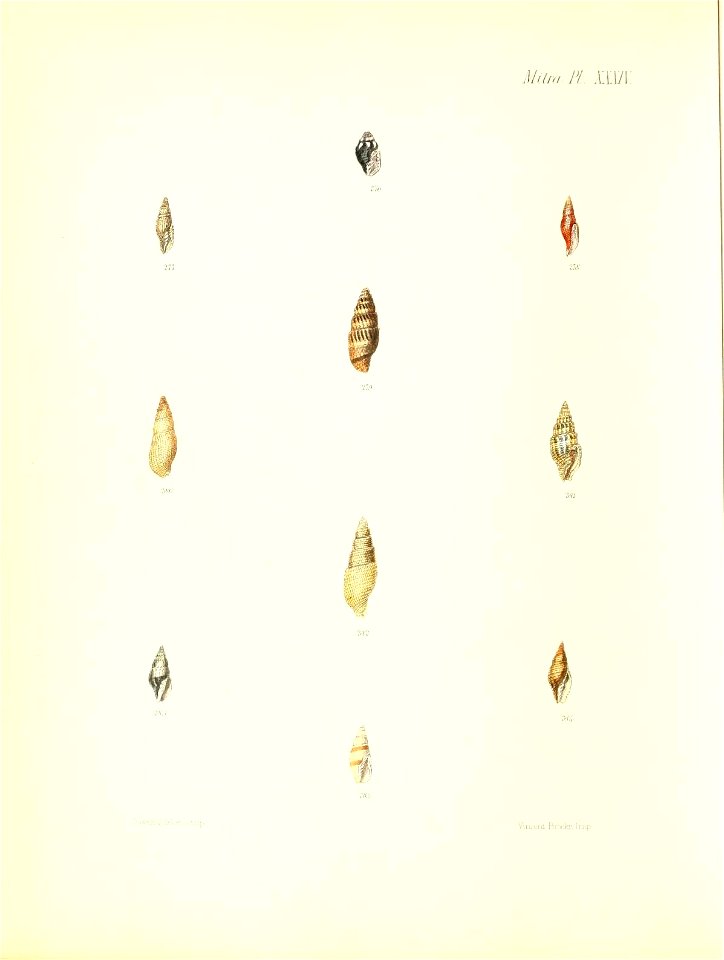 n375_w1150