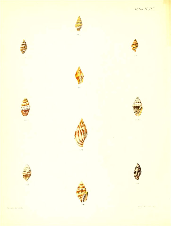 n315_w1150