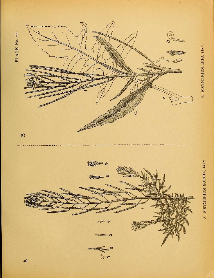 n172_w1150