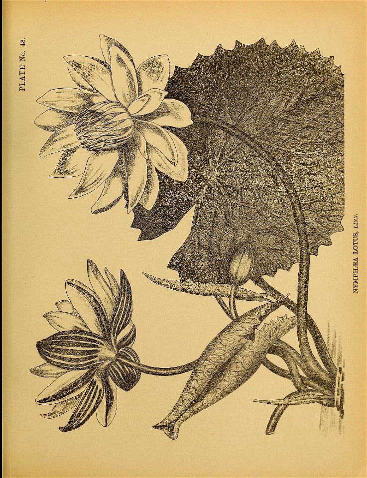 n134_w1150