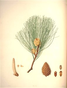 n59_w1150