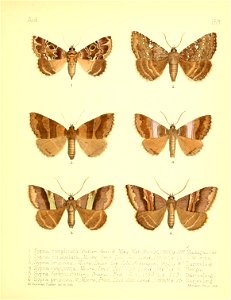 n152_w1150