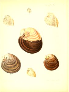 n497_w1150