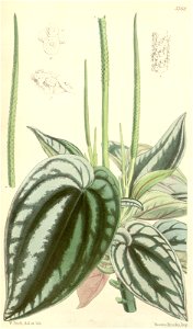 n105_w1150