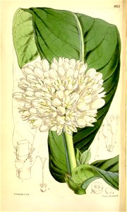 n168_w1150