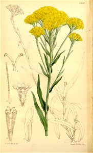 n179_w1150