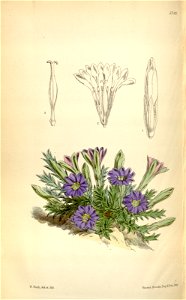 n179_w1150