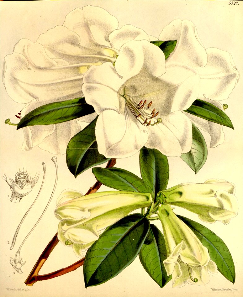 n99_w1150