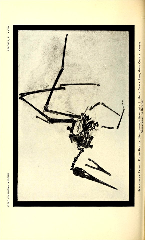 n259_w1150