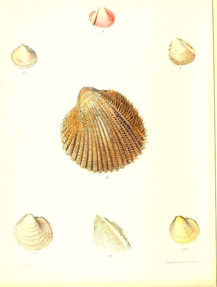 n449_w1150