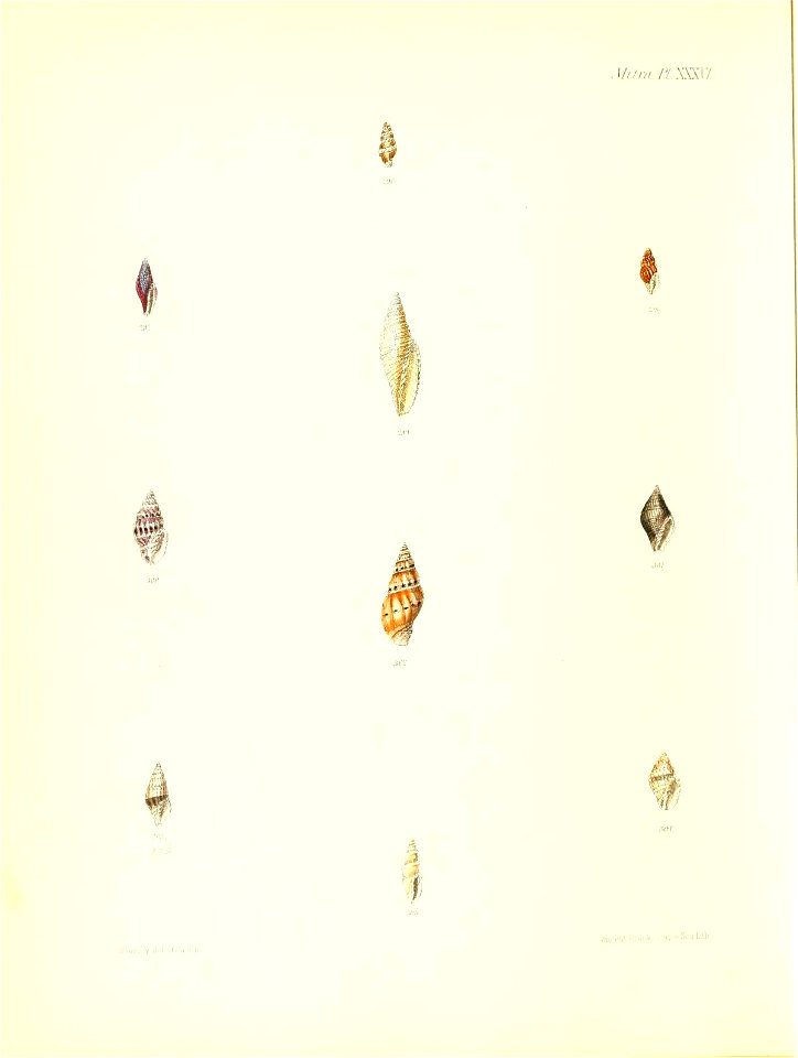 n383_w1150