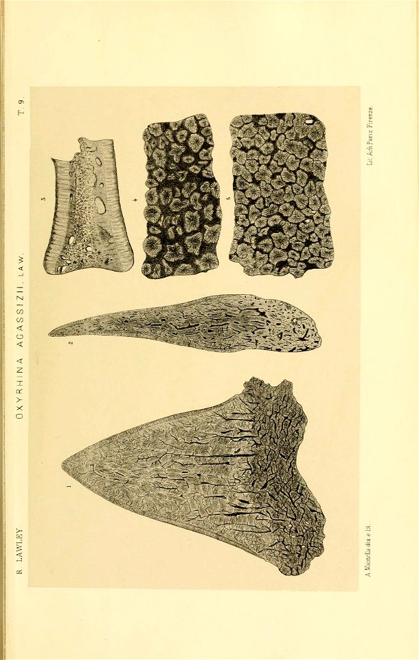 n214_w1150