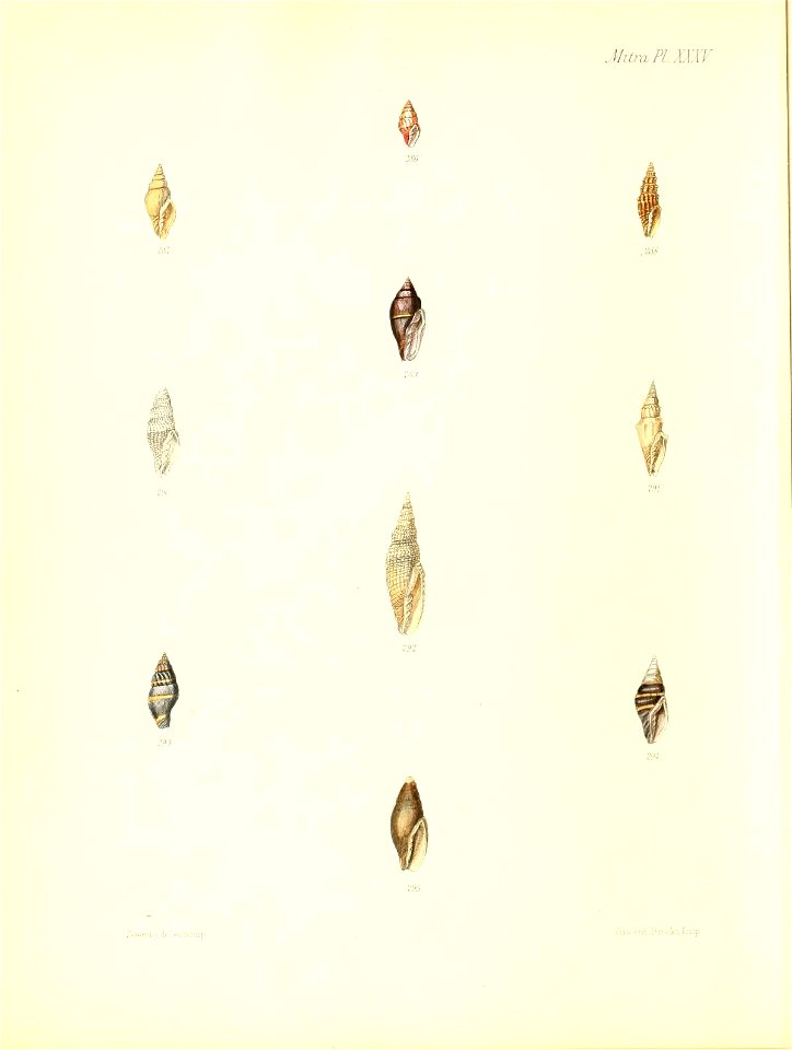n379_w1150