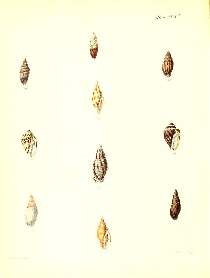 n319_w1150