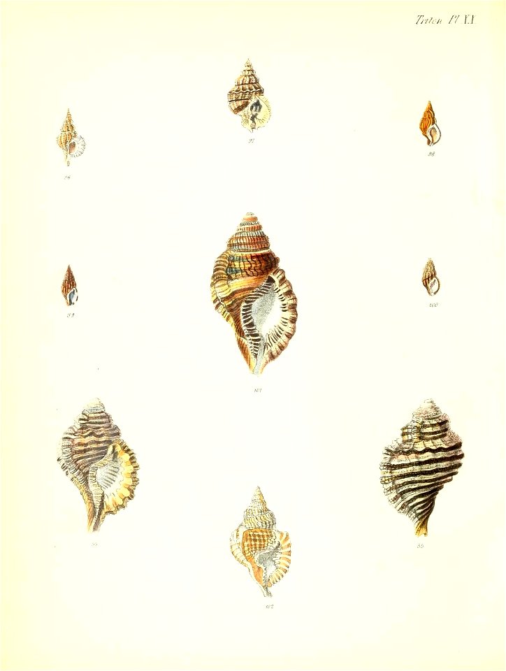 n185_w1150