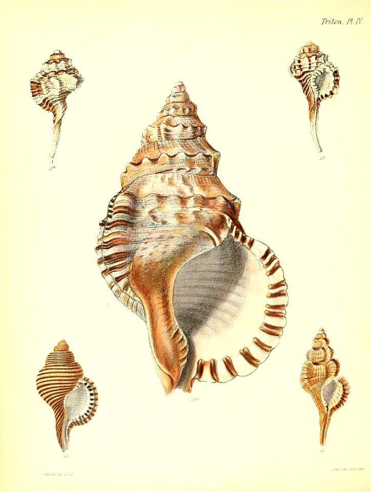 n121_w1150