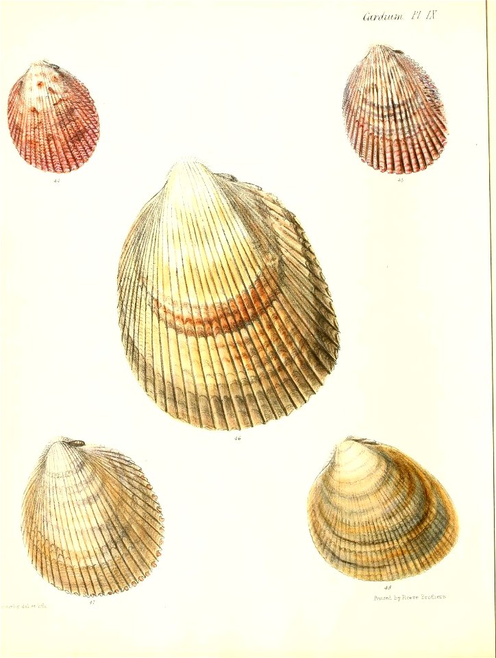 n437_w1150