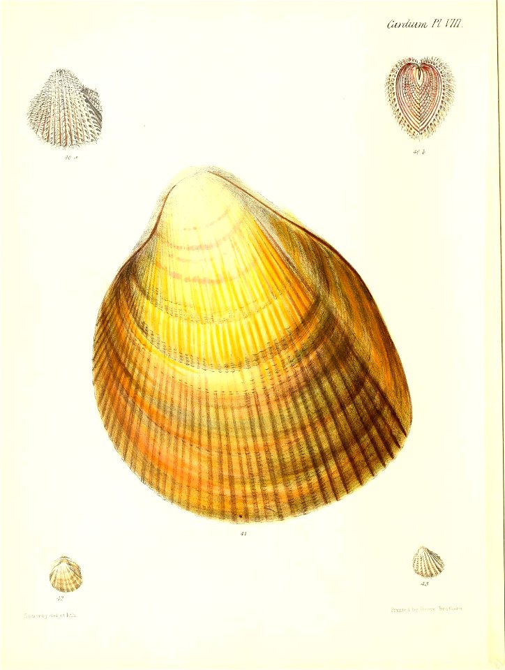 n433_w1150