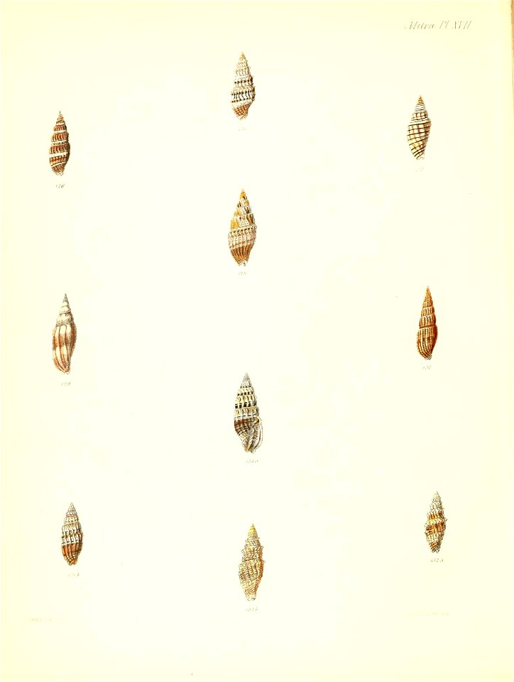 n307_w1150