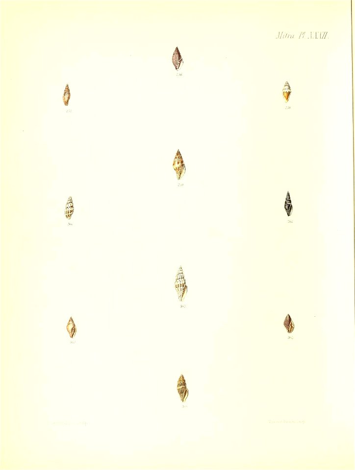 n367_w1150