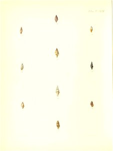 n367_w1150