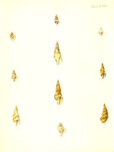n173_w1150