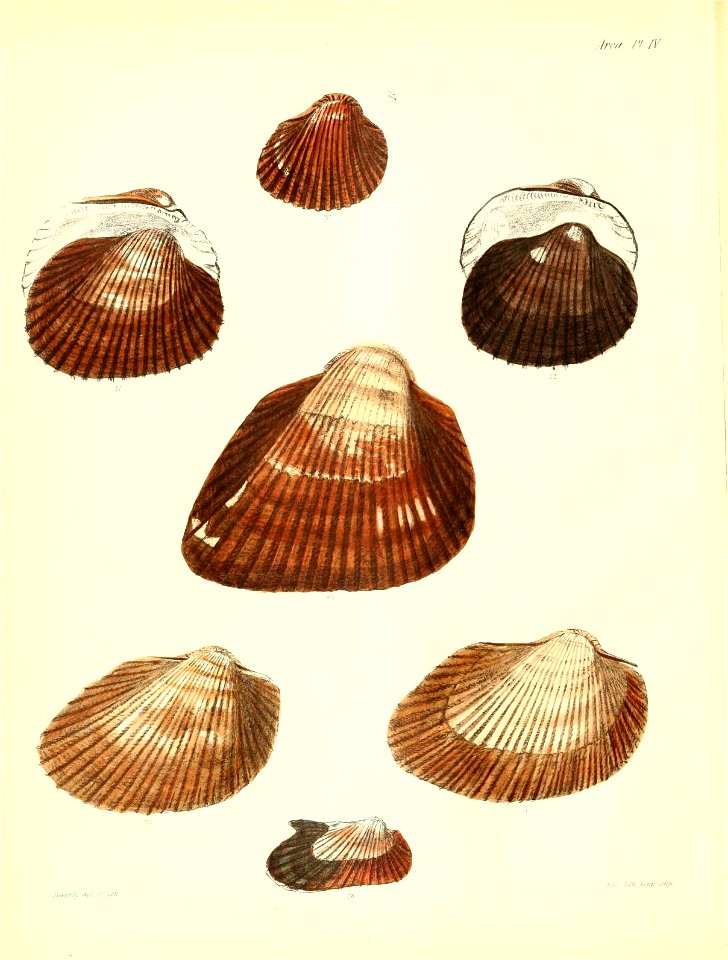 n49_w1150
