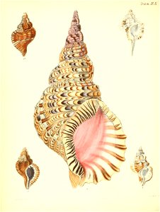 n113_w1150