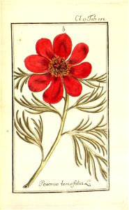 n105_w1150