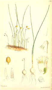 n159_w1150