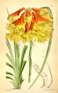n155_w1150