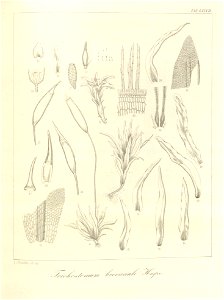 n203_w1150