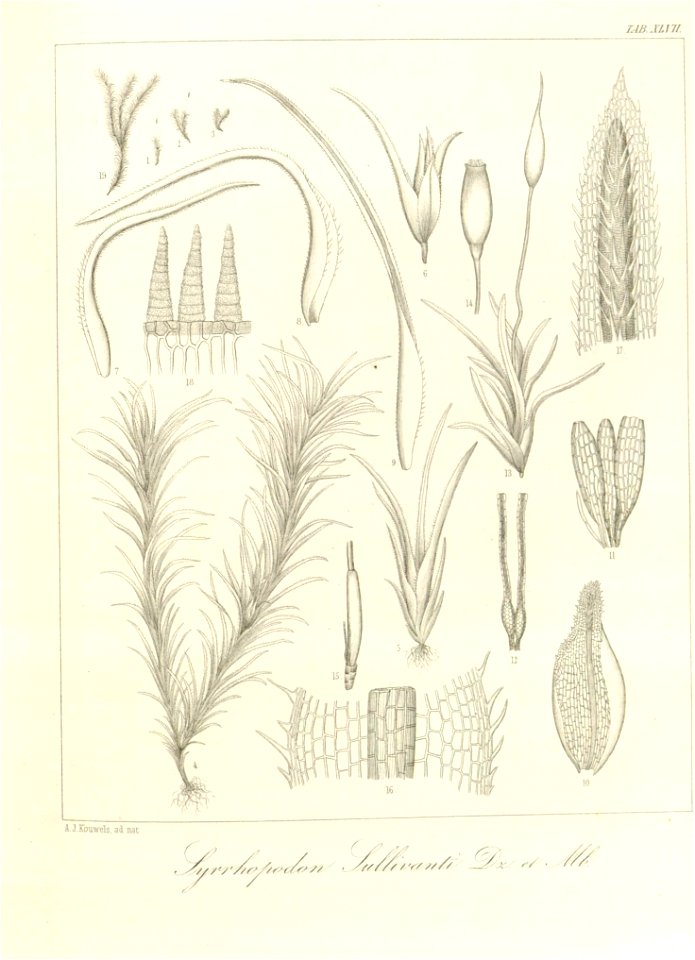 n123_w1150