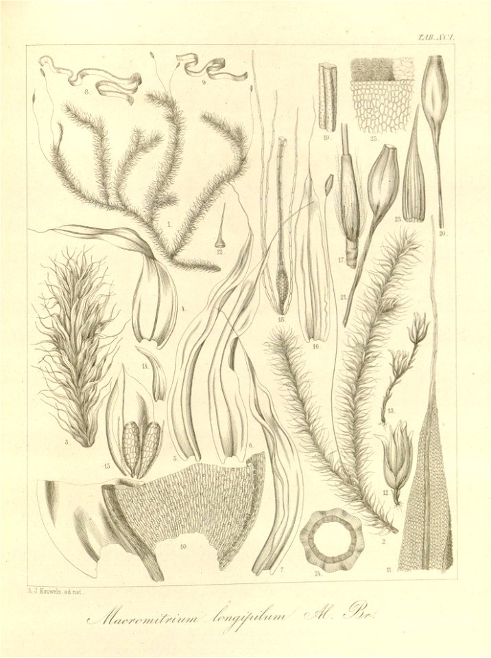 n235_w1150