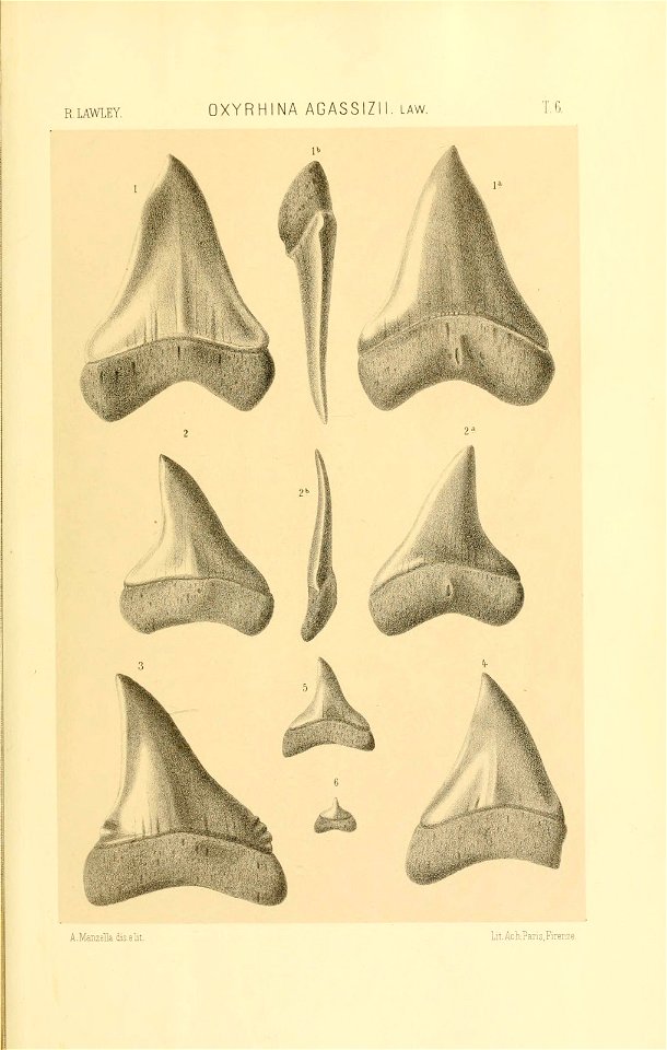 n202_w1150