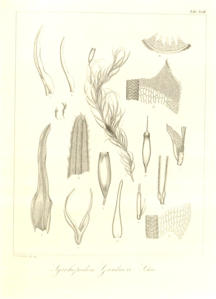 n119_w1150