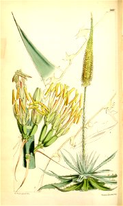 n195_w1150