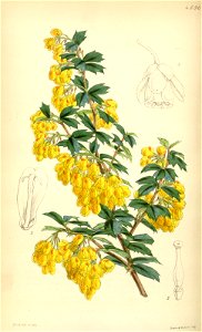 n122_w1150