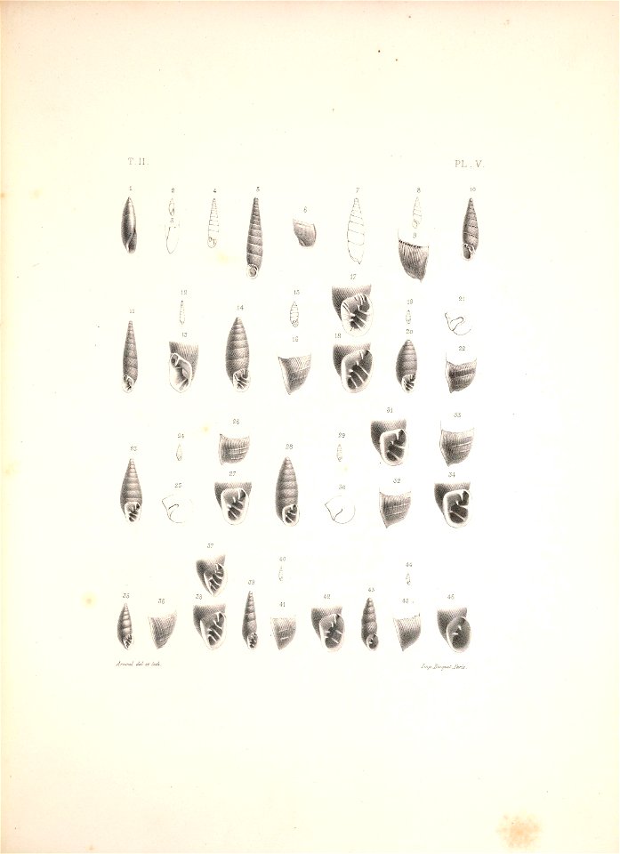 n414_w1150