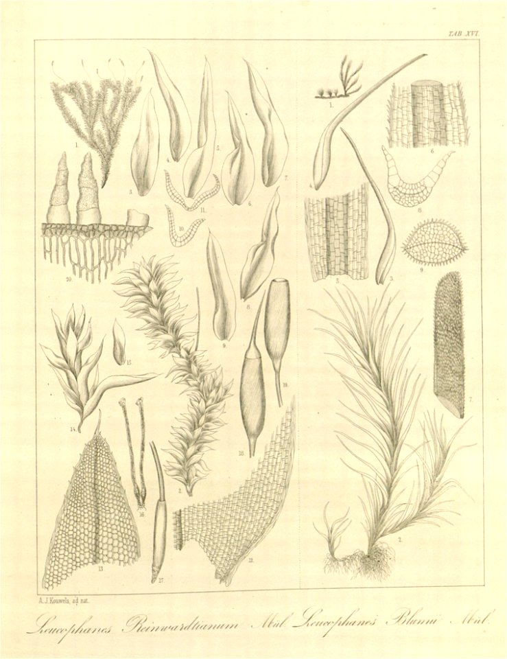n59_w1150