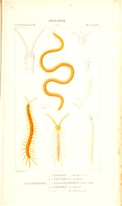 n146_w1150