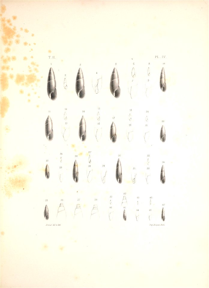 n410_w1150