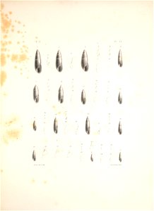 n410_w1150