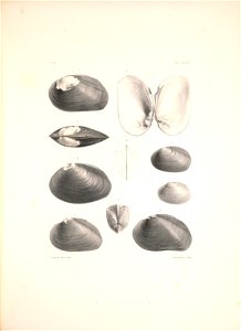 n466_w1150