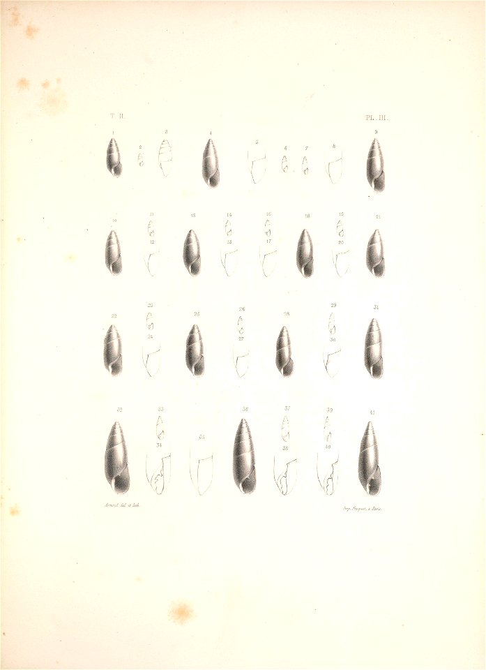 n406_w1150