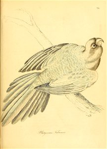 n122_w1150