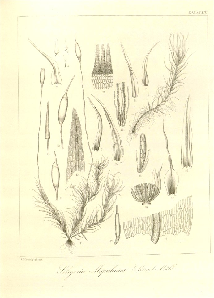 n191_w1150